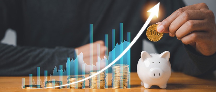 Wealth Management Service